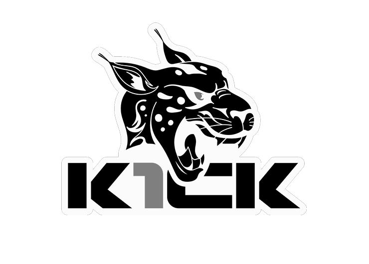 Kick (not sure)